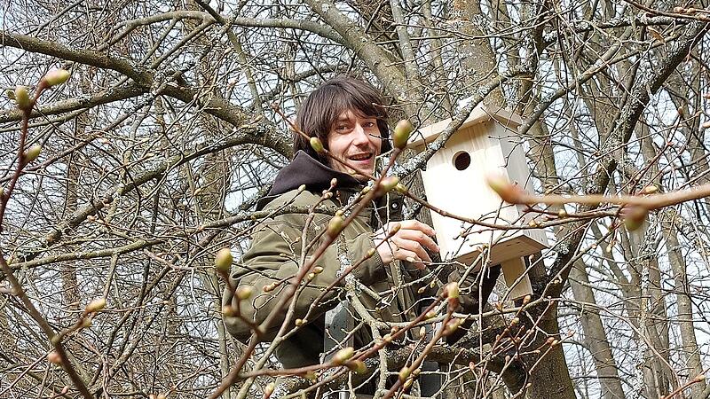 Johannes Wagner nagelt Starenk&auml;sten an die B&auml;ume am Wolfsberg.