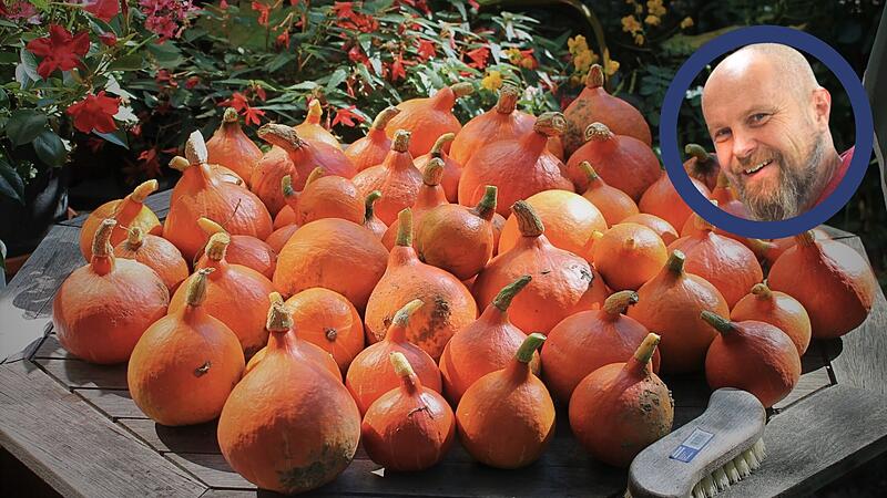 Trendige K&uuml;rbis-Rezepte vom Gew&uuml;rzsommelier aus Teuschnitz