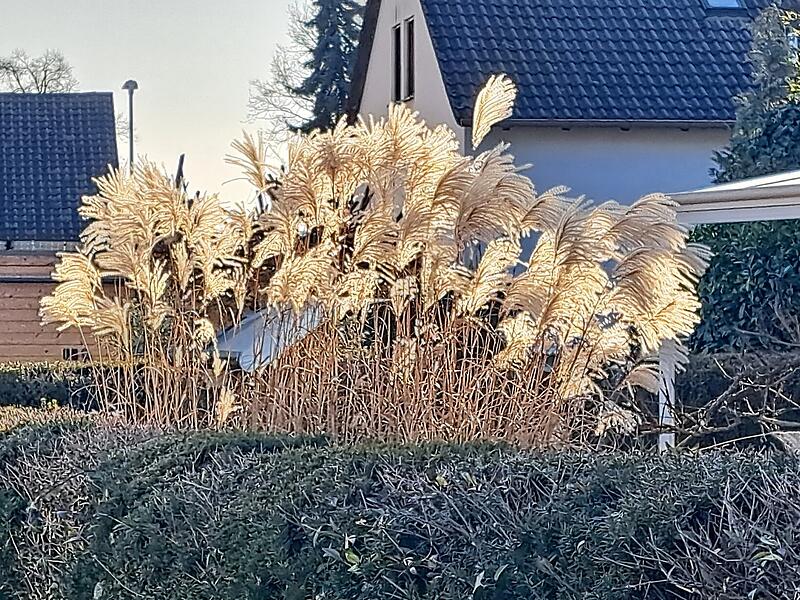 Leserfotos Erlangen-H&ouml;chstadt