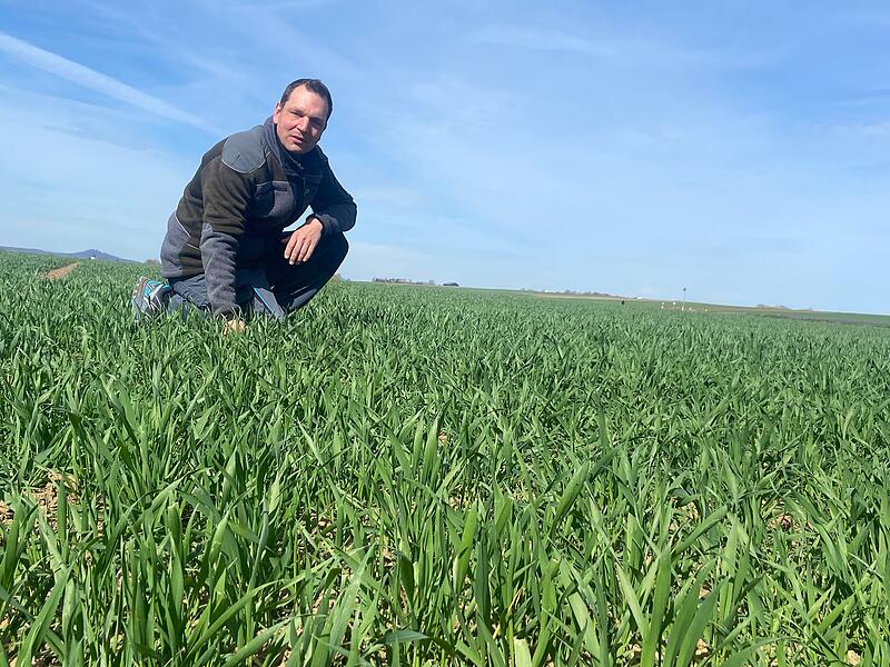Christian Florsch&uuml;tz auf seinem Weizenfeld