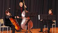 Ein außergewöhnliches Konzert brachte das Ensemble „Corda Profonda“ als drittes VHS-Musikring-Konzert in den Kreiskulturraum (von links): Renate Kubisch (Violoncello), Dietmar Engels (Kontrabass) und Zhou Lu (Bratsche).
