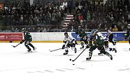 Drei Shorthander f&uuml;r H&ouml;chstadt, einer von Martin Vojcak (am Puck), dem Kapit&auml;n und Rekordspieler der Alligators.