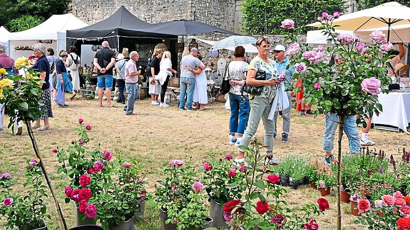 Das Mainufer-Gartenfest feierte in Ha&szlig;furt eine gelungene Premiere. Christian Licha