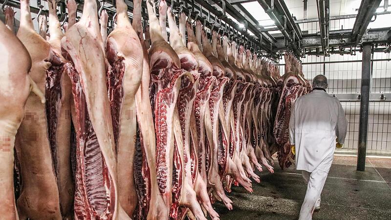 Schweinehälften im Schlachthof Bamberg