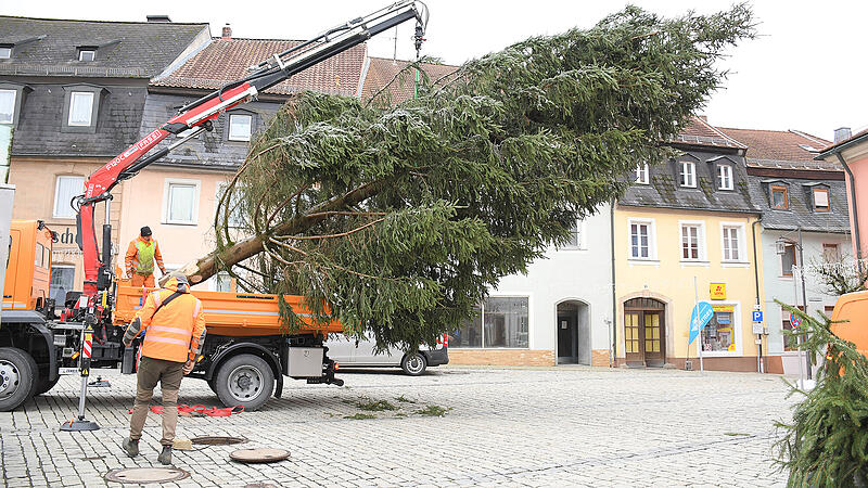 Drei Tonnen schwer ist der Weihnachtsbaum. Nur mit der Hilfe eines Krans konnte das Prachtexemplar aufgestellt werden.