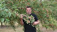 Johannes Haas aus Pretzfeld destilliert die meisten der Früchte in seiner Edelbrennerei. Auch er kennt das Problem mit illegal abgepflückten Obstbäumen.Forchheim & Fränkische Schweiz