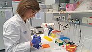 Forschung am Helmholtz-Institut für RNA-basierte Infektionsforschung in Würzburg