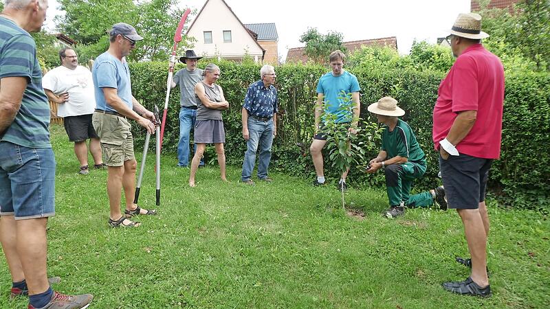 Gartenexperte Edgar Brohm zeigt den Gartenfreunden aus Ebern, welche Arbeiten aktuell an Obstgeh&ouml;lzen anfallen.