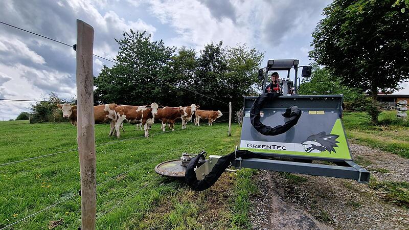 Zaunpflege unter dem kritischen Blick der Herde: Um den Herdenschutzzaun regelm&auml;&szlig;ig ausm&auml;hen zu k&ouml;nnen, schaffte Landwirt Roland Wehner eigens einen Mulchm&auml;her an.