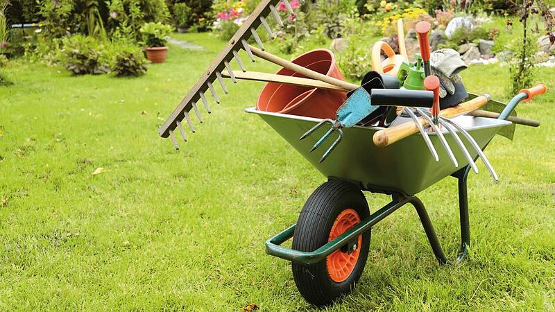 Mit der Schubkarre, die die Täter dabei hatten, dürfte wohl eher Alkohol und keine Gartengeräte transportiert worden sein. Außerdem befand sich eine Musikanlage darin. Mit der Schubkarre, die die Täter dabei hatten, dürfte wohl eher Alkohol und keine Gartengeräte transportiert worden sein. Außerdem befand sich eine Musikanlage darin.