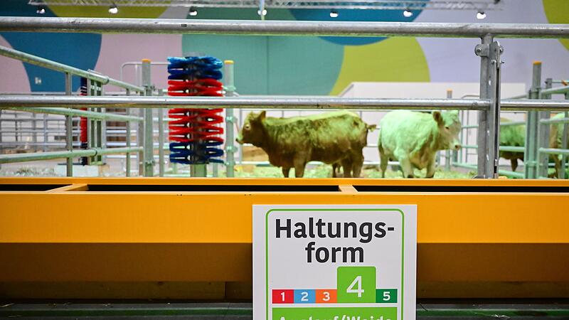 Vor der 90. Internationalen Gr&uuml;ne Woche