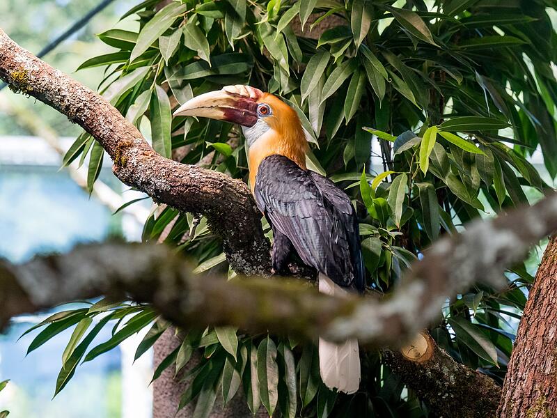 Tierpark Hellabrunn