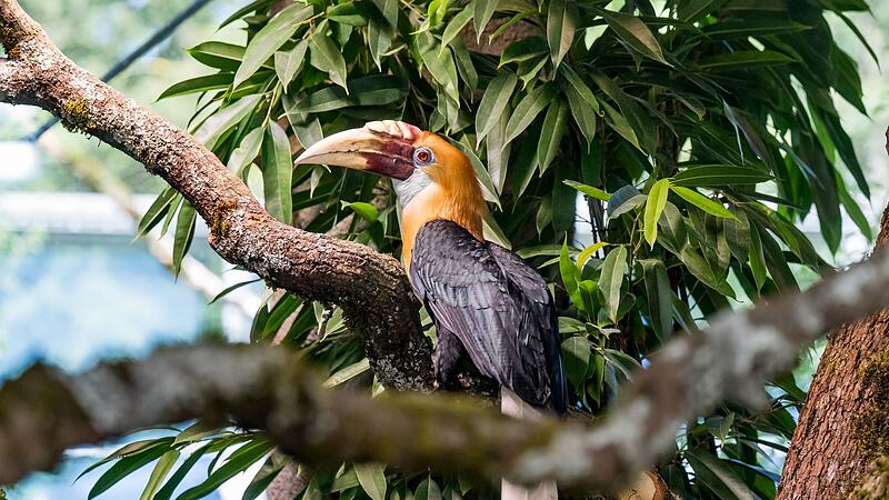 Tierpark Hellabrunn Tierpark Hellabrunn