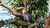 Tierpark Hellabrunn Tierpark Hellabrunn