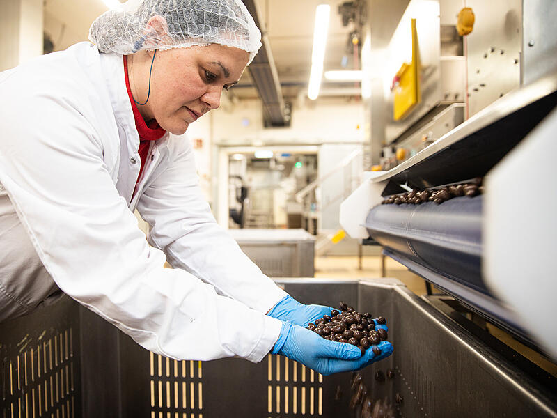 Piasten ForchheimForchheim & Fr&auml;nkische Schweiz