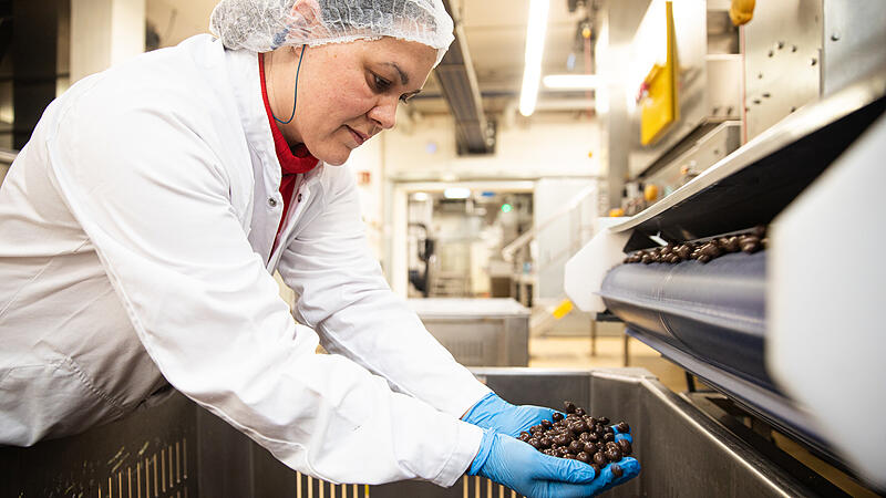 Piasten ForchheimForchheim & Fr&auml;nkische Schweiz