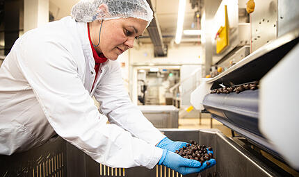 Piasten ForchheimForchheim & Fr&auml;nkische Schweiz