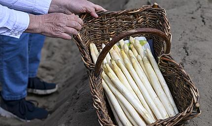 Die Spargelernte in Bayern hat begonnen.