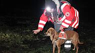 Melissa Eller von der Rettungshundestaffel des BRK Haßberge setzt ihre Flächensuchhündin Mila in einem Waldgebiet zur Suche an.