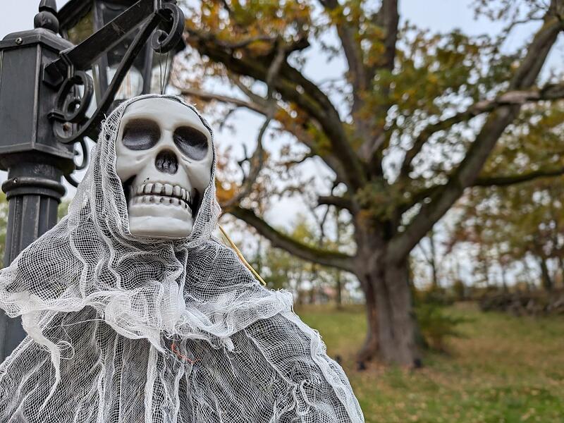 Die schönsten Impressionen von der Eröffnung der Halloween-Familienwoche in Schloss Thurn.