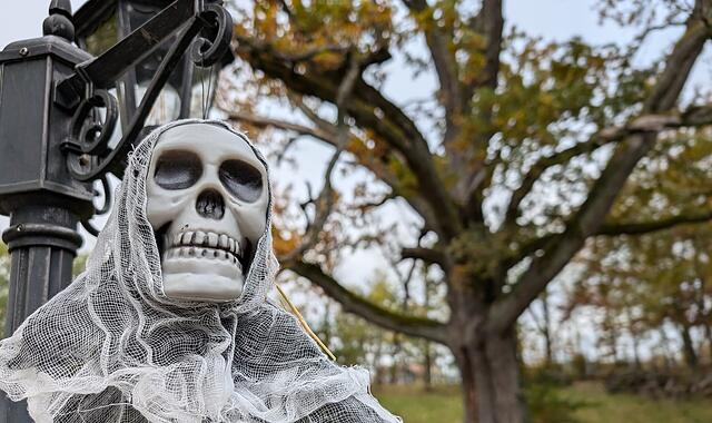 Die schönsten Impressionen von der Eröffnung der Halloween-Familienwoche in Schloss Thurn.