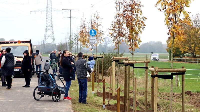 Ganz schön was los an der „Allee des Lebens“ in Marktgraitz