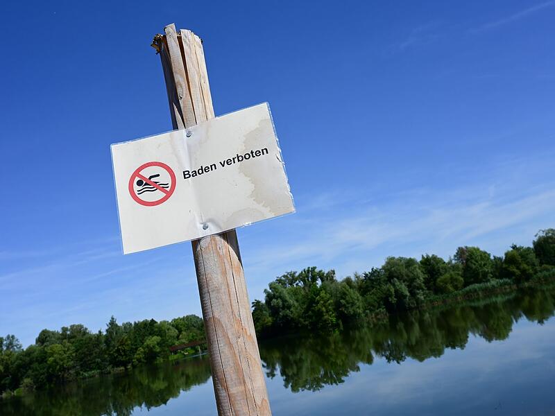 Badeverbot im Buga-See wegen Blaualgen