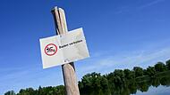 Badeverbot im Buga-See wegen Blaualgen
