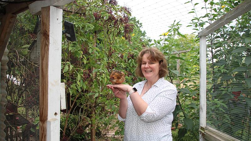 Michaela D&ouml;rnh&ouml;fer verbringt gerne Zeit bei ihren H&uuml;hnern. Vor allem die Bartzwerge sind sehr zutraulich.