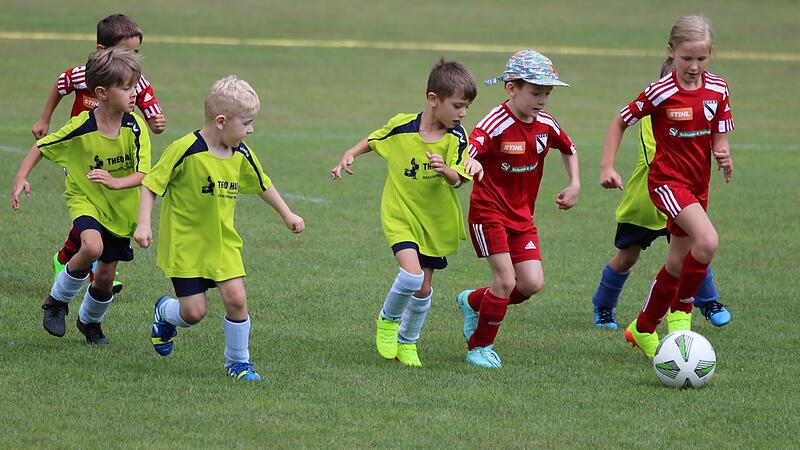 Der FC Bad Brückenau hat erstmals ein Turnier für U7- sowie U9-Mannschaften veranstaltet. Der FC Bad Brückenau hat erstmals ein Turnier für U7- sowie U9-Mannschaften veranstaltet.