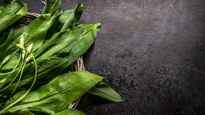 Beliebte W&uuml;rze in der K&uuml;che und heilkr&auml;ftige Powerpflanze.