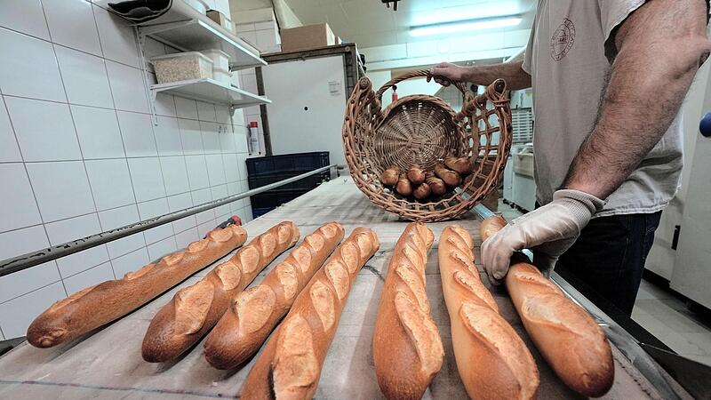 Für den vom Amtsgericht Bamberg verurteilten Dieb heißt es in Zukunft wieder kleinere Brötchen backen. Für den vom Amtsgericht Bamberg verurteilten Dieb heißt es in Zukunft wieder kleinere Brötchen backen.