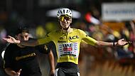 Tour de France &ndash; 19.Etappe