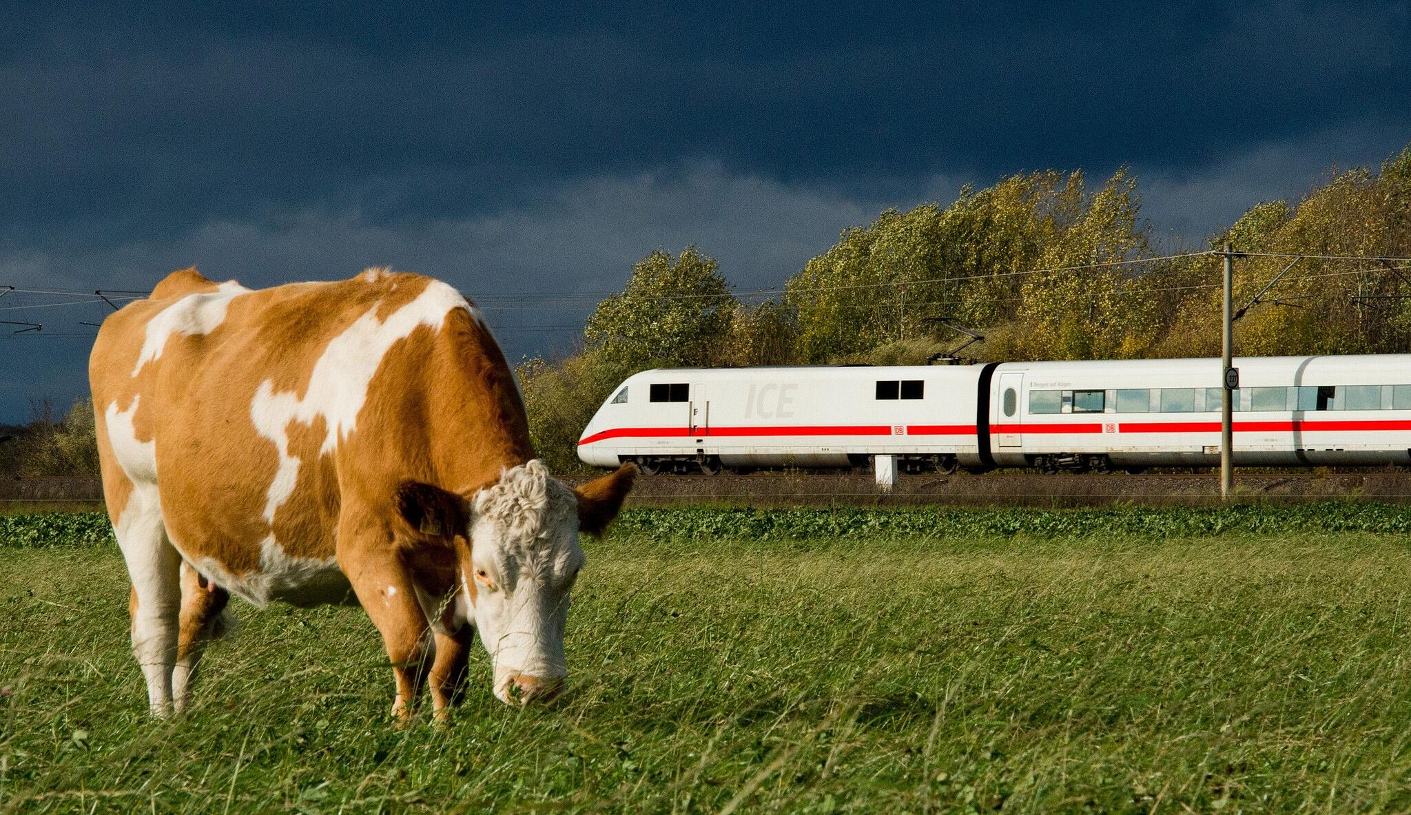 tödlicher unfall auf den gleisen bahnstrecke gesperrt