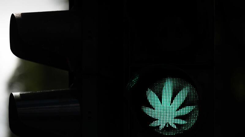 Ein Cannabis-Blatt leuchtet w&auml;hrend der Gr&uuml;nphase an einer Ampel. Die Cannabis-Legalisierung in Deutschland kann kommen. Das Bundeskabinett beschloss einen entsprechenden Gesetzesentwurf von Gesundheitsminister Lauterbach.