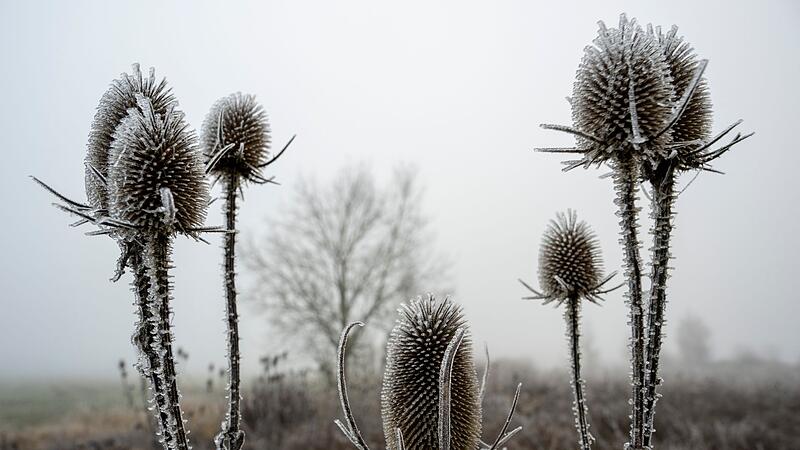 Wetter in Bayern Wetter in Bayern