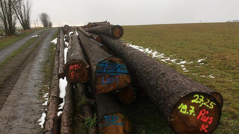 Tausende von Festmetern Holz wurden in den vergangenen Jahren nicht abgeholt und lagerten an Stra&szlig;enr&auml;ndern und Waldwegen. Die Waldbesitzer bangten deshalb um F&ouml;rdermittel. Die WBV Rennsteig als Holzvermarkter hatte zu wenige Kapazit&auml;ten, setzte a...