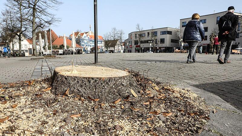 So leer sieht es am Forchheimer Paradeplatz aus, nachdem die zwei Linden am n&ouml;rdlichen Paradeplatz, vor dem Sportgesch&auml;ft "Sport Wolf", gef&auml;llt wurden.Forchheim & Fr&auml;nkische Schweiz