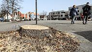 So leer sieht es am Forchheimer Paradeplatz aus, nachdem die zwei Linden am nördlichen Paradeplatz, vor dem Sportgeschäft "Sport Wolf", gefällt wurden.Forchheim & Fränkische Schweiz