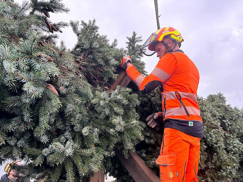 Unterwegs mit dem Coburger Weihnachtsbaum