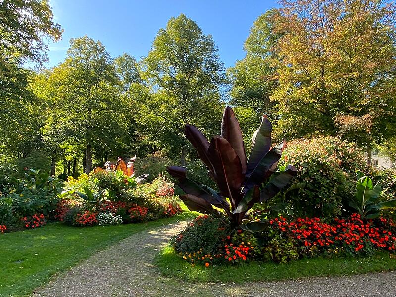 Ein schönes Farbenspiel im Kurpark von Bad Bocklet.