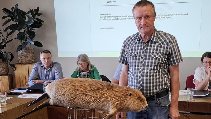 Zu seinem Referat &uuml;ber die Biberpopulation in Ebensfeld hatte Hans Herold einen ausgestopften Biber mitgebracht.
