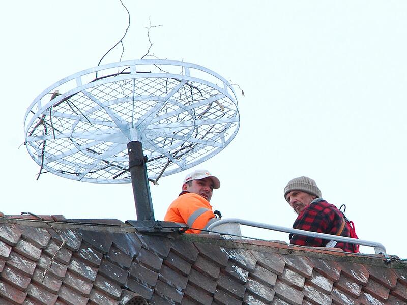 2013 wurden Nisthilfen angebracht, die 2018 entfernt wurden. Nach Ende der Bauarbeiten kommen wieder zwei Nisthilfen aufs Dach.