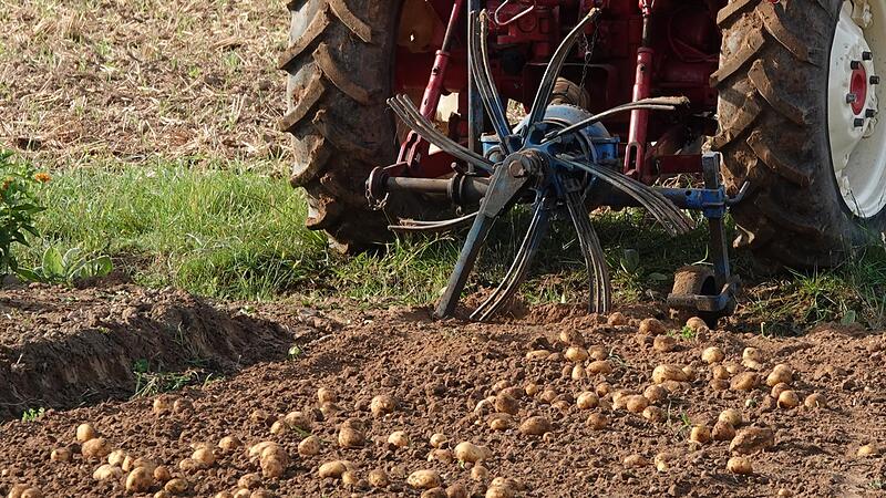 Die Landwirte machen sich Gedanken über die Flächen, die immer mehr eine andere Nutzung finden als die Nahrungsproduktion.