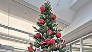 Der Weihnachtsbaum im BeratungsCenter Bad Kissingen. Der Weihnachtsbaum im BeratungsCenter Bad Kissingen.