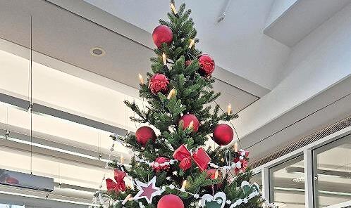 Der Weihnachtsbaum im BeratungsCenter Bad Kissingen. Der Weihnachtsbaum im BeratungsCenter Bad Kissingen.