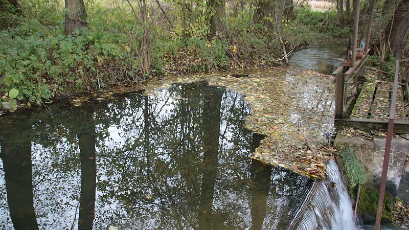 Die Lauter zwischen Loffeld und Horsdorf &ndash; bei normalem Wasserstand flie&szlig;t etwa ein Kubikmeter Wasser pro Sekunde ab. Nach einem starken Regen k&ouml;nnten jedoch bis zu 38 Liter pro Sekunde eine Flutwelle bilden, die Bad Staffelstein unter Wasser setzt.