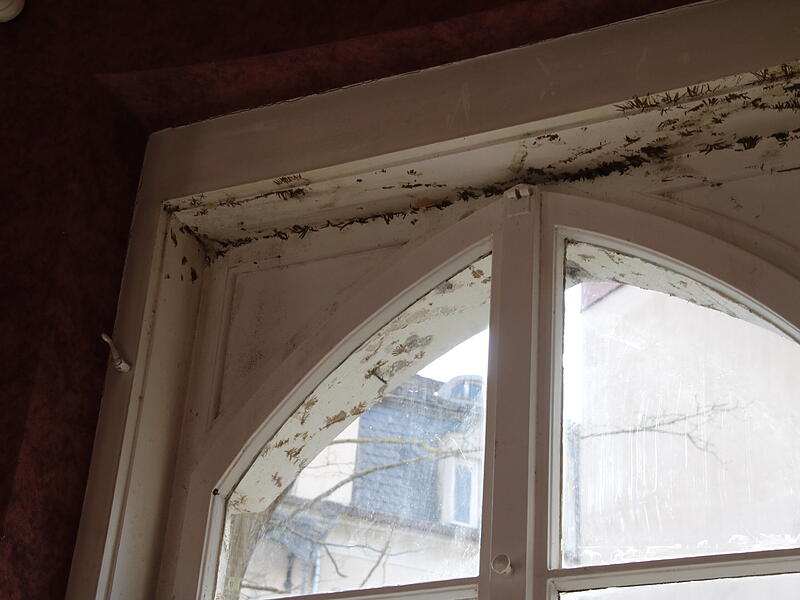 Durch die Fenster im „Sissi“-Saal kamen bereits Ranken von draußen ins InnereSchweizerhaus Café Durch die Fenster im „Sissi“-Saal kamen bereits Ranken von draußen ins Innere. Die Spuren sind noch ersichtlich.