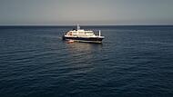Drei Tote nach Hantavirus-Ausbruch auf Kreuzfahrtschiff