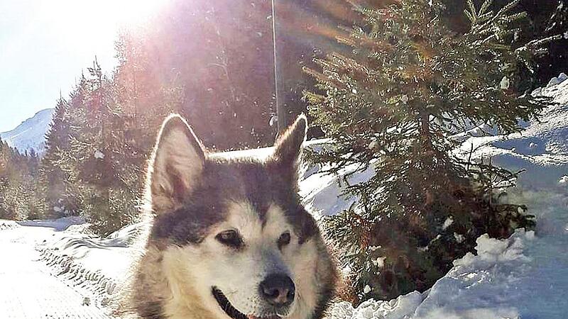 Ein Bild aus dem Familienalbum der &ouml;sterreichischen Urlauber: Mara sieht nicht gerade aus wie ein J&auml;ger.